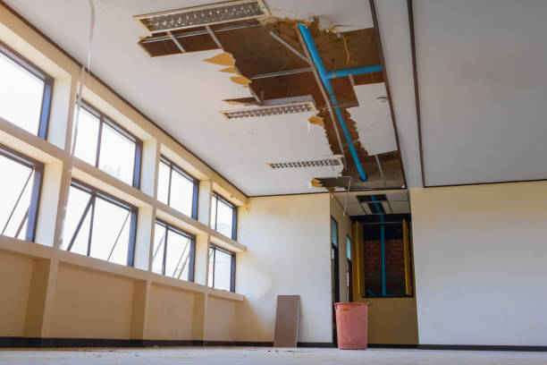 Trusted St Charles, MI Water damage restoration Experts