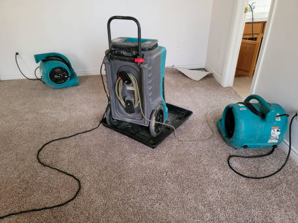 Best Emergency water damage restoration  in St Charles, MI