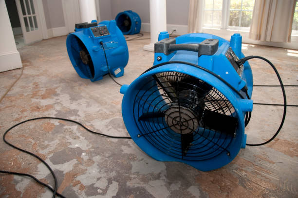 Best Fire Damage Restoration  in St Charles, MI