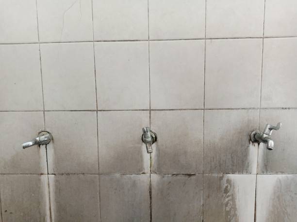 Carpet water damage restoration in St Charles, MI