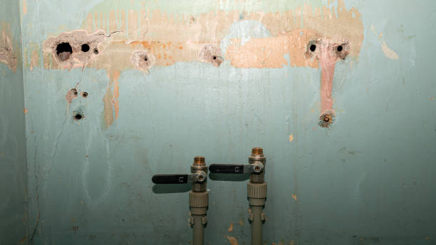 Best Carpet water damage restoration  in St Charles, MI