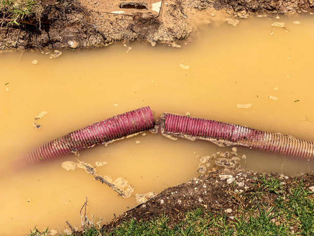 Best Water damage restoration near me  in St Charles, MI