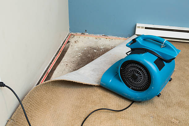 Best Water damage restoration cost  in St Charles, MI